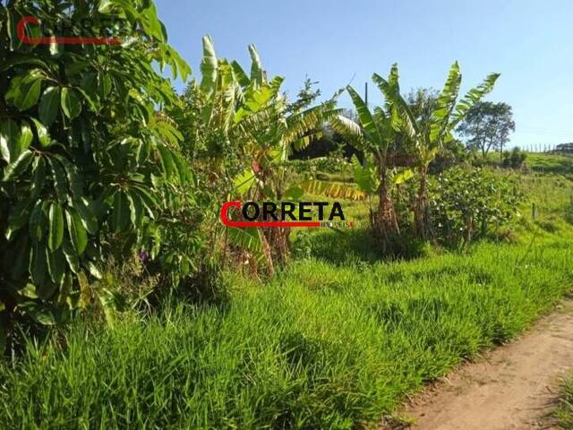 Terreno para Venda em Ibiúna - 3