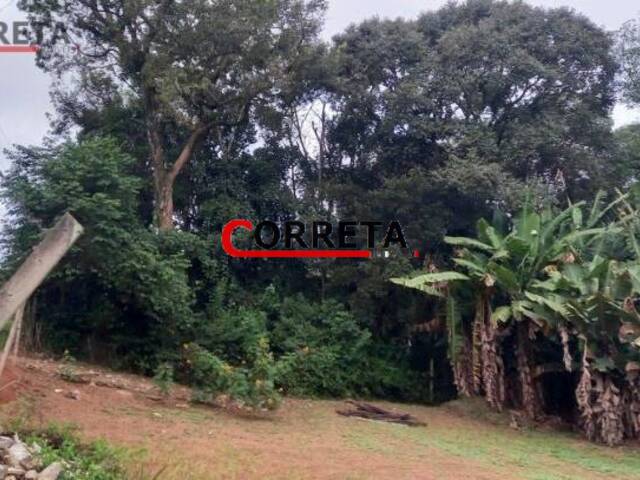 Terreno para Venda em Ibiúna - 5