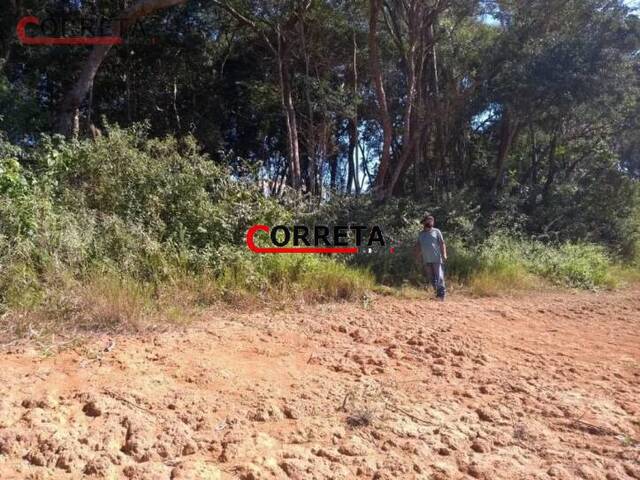 Terreno para Venda em Ibiúna - 5