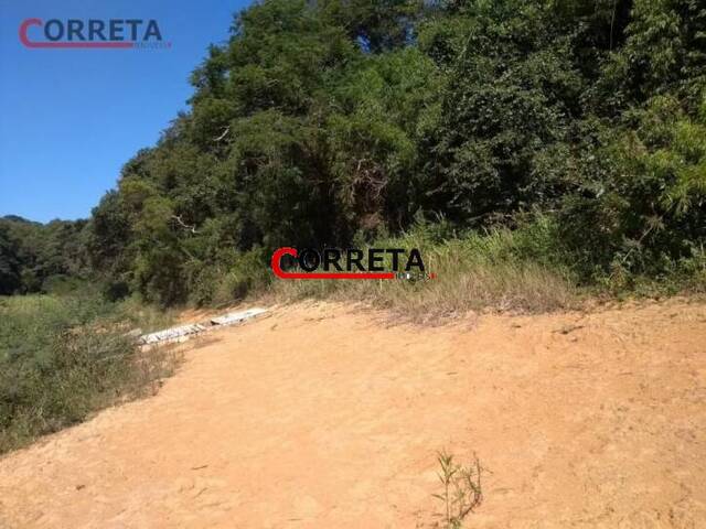 Terreno para Venda em Ibiúna - 3