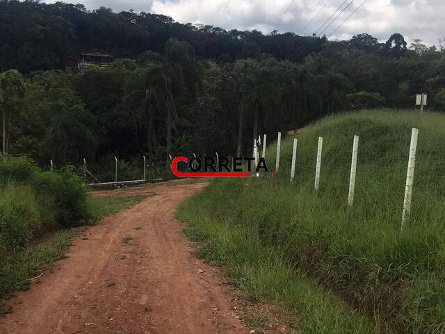 #518 - Área para Venda em Ibiúna - SP - 2