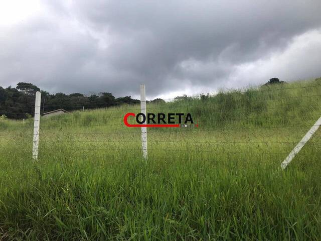 Área para Venda em Ibiúna - 4