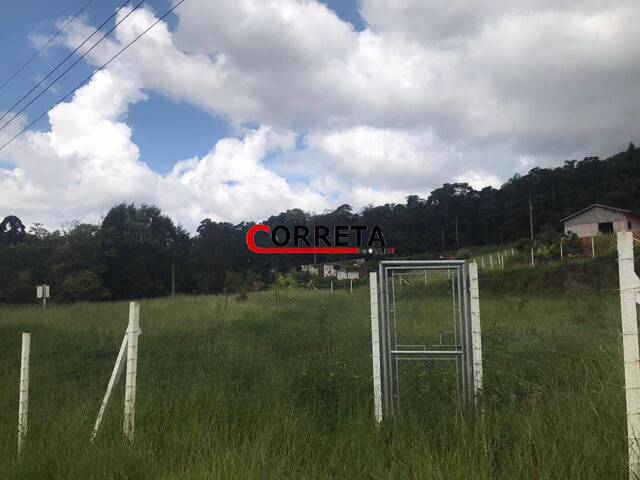 #518 - Área para Venda em Ibiúna - SP - 3