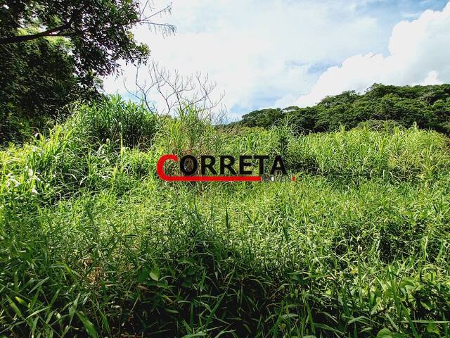 Chácara para Venda em Ibiúna - 4