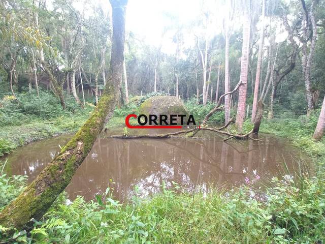 Casa para Venda em Ibiúna - 2