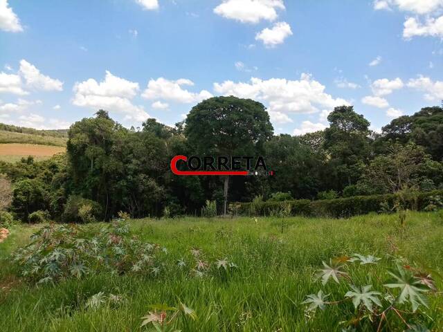 #536 - Terreno para Venda em Ibiúna - SP - 1