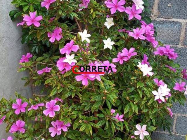 Casa para Venda em Ibiúna - 2