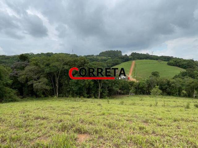 #577 - Terreno para Venda em Ibiúna - SP - 1