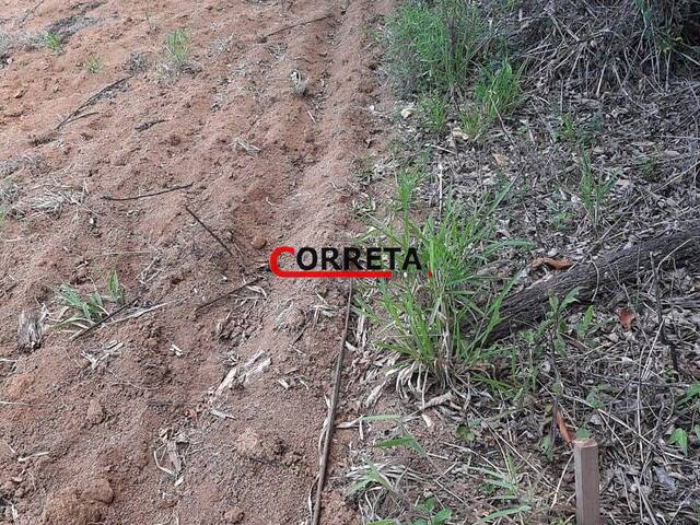Área para Venda em Ibiúna - 5