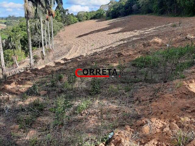 #587 - Área para Venda em Ibiúna - SP - 1