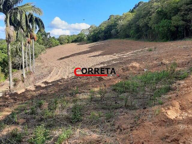 #587 - Área para Venda em Ibiúna - SP - 3