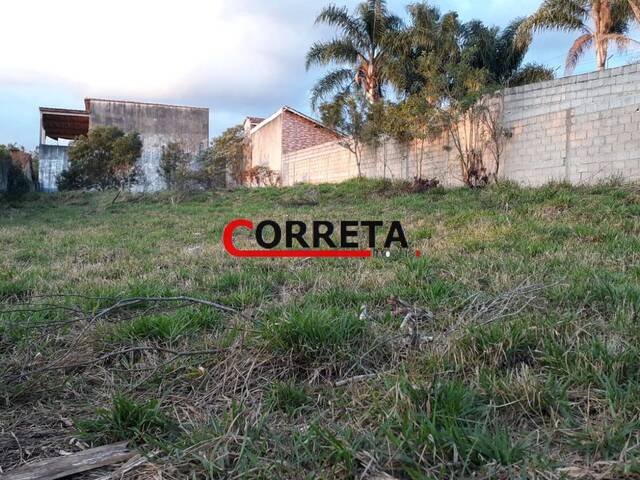 #593 - Área para Venda em Ibiúna - SP - 1