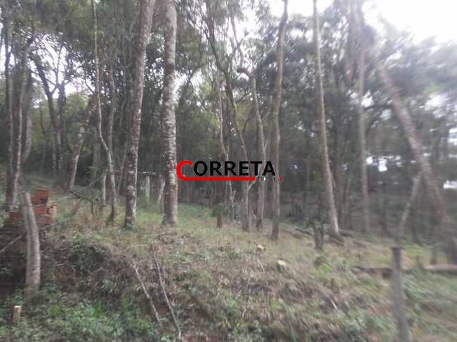 #594 - Área para Venda em Ibiúna - SP - 1