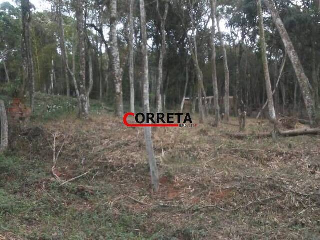 Área para Venda em Ibiúna - 5