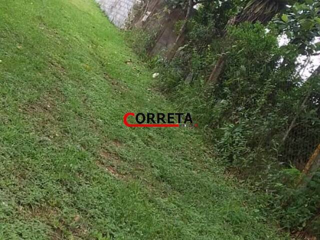#601 - Área para Venda em Ibiúna - SP - 2
