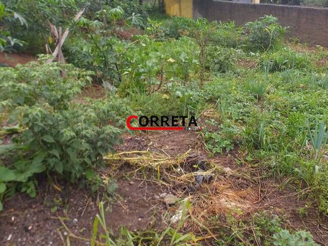 #608 - Terreno para Venda em Ibiúna - SP - 2