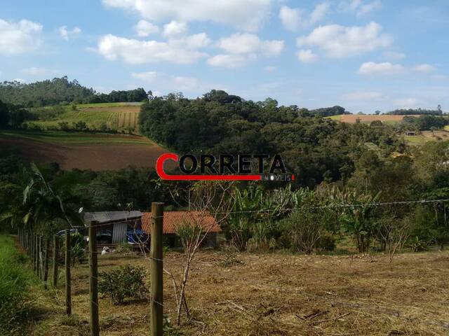 Terreno para Venda em Ibiúna - 4