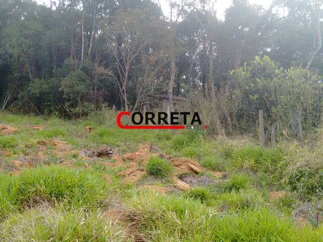 Terreno para Venda em Ibiúna - 5