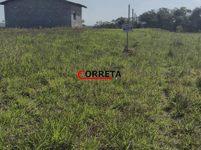 Terreno para Venda em Ibiúna - 3