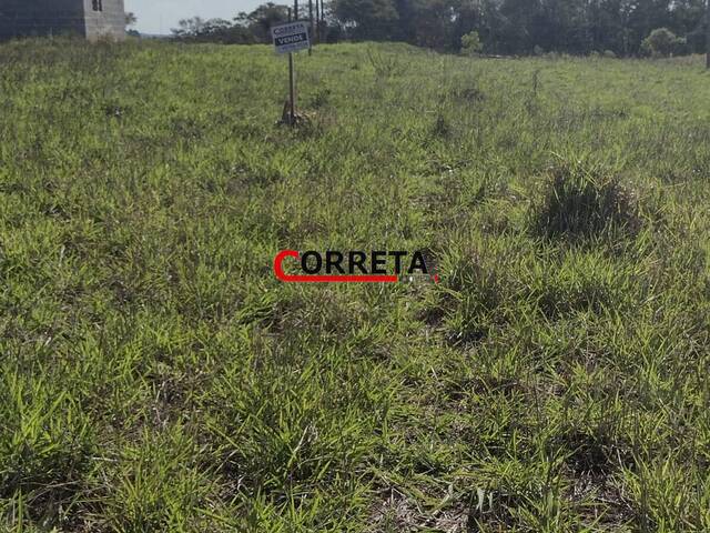 Terreno para Venda em Ibiúna - 5