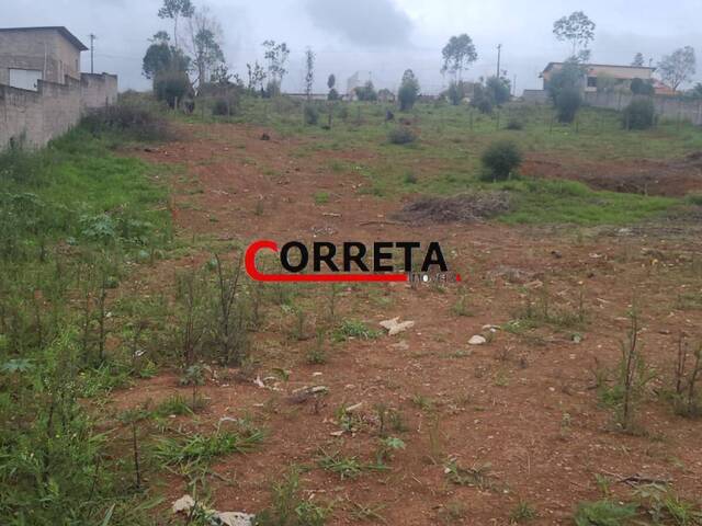 #618 - Área para Venda em Ibiúna - SP - 3