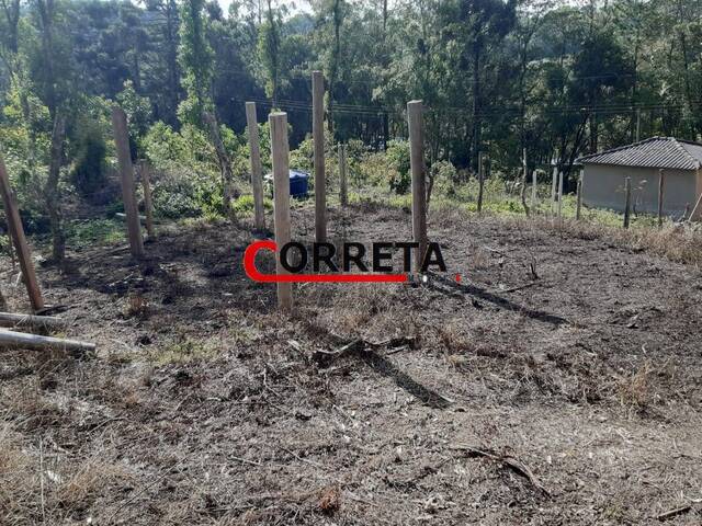 #621 - Área para Venda em Ibiúna - SP - 3