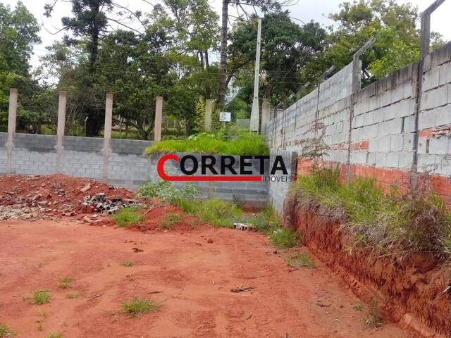 para em - 4