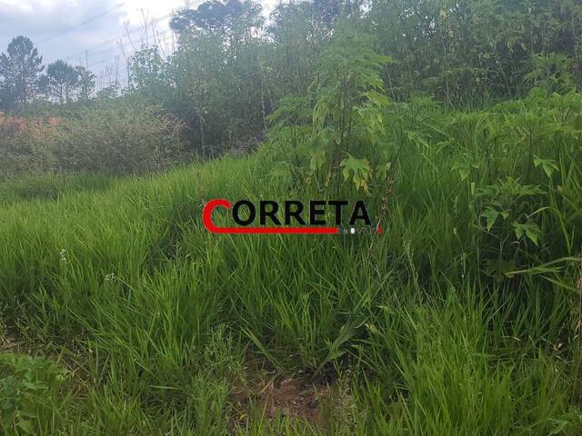 #634 - Terreno para Venda em Ibiúna - SP - 3