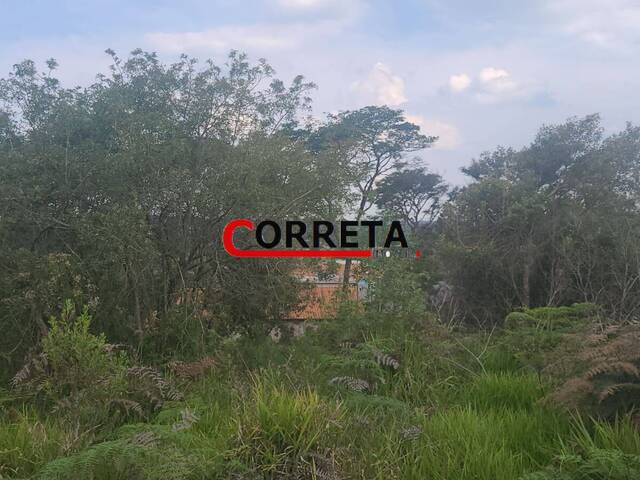 Terreno para Venda em Ibiúna - 5