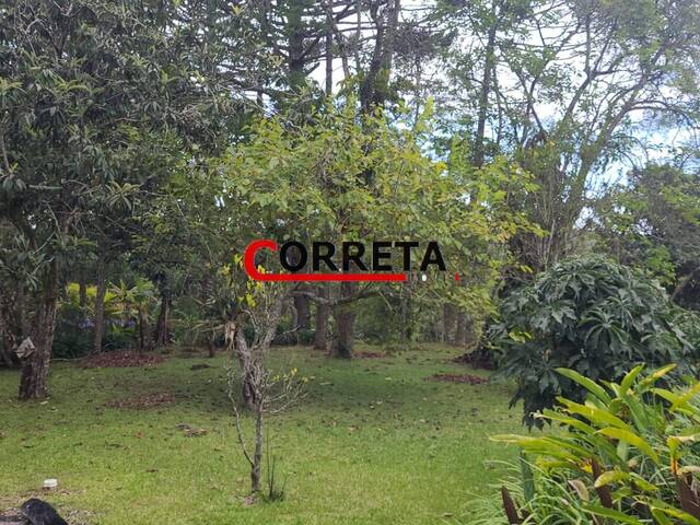 Área para Venda em Ibiúna - 5