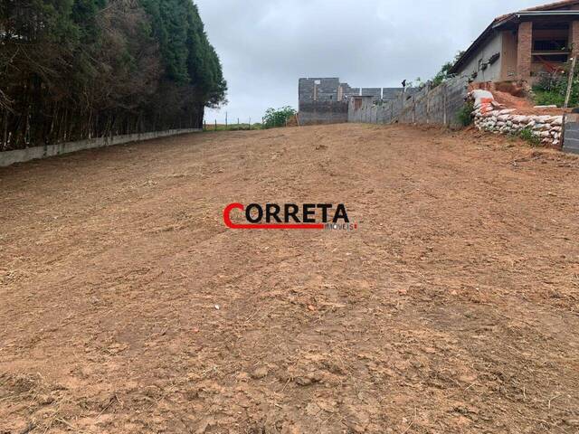#656 - Área para Venda em Ibiúna - SP - 1