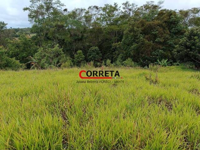 #677 - Terreno para Venda em Ibiúna - SP - 1