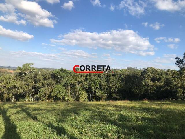 #726 - Área para Venda em Ibiúna - SP - 1