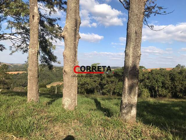 Área para Venda em Ibiúna - 4