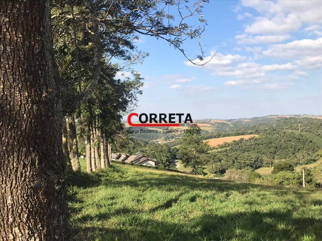 #726 - Área para Venda em Ibiúna - SP - 3
