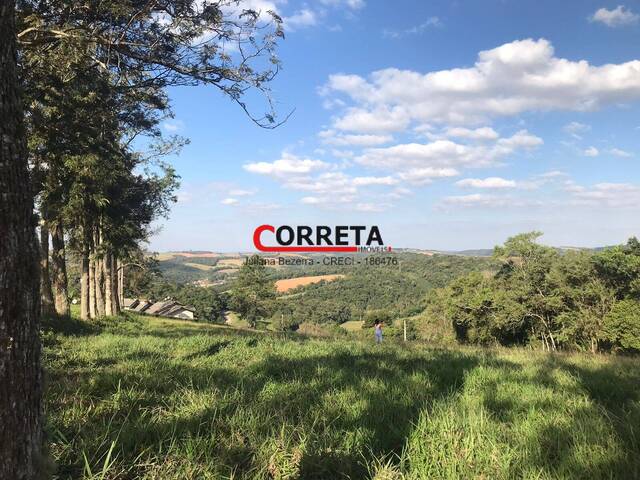 Área para Venda em Ibiúna - 5