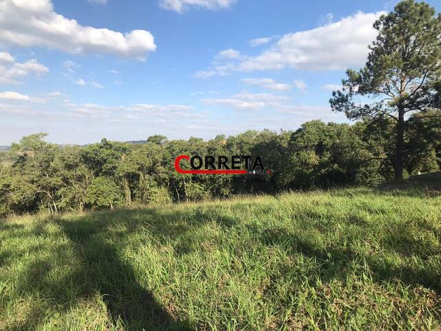 #726 - Área para Venda em Ibiúna - SP - 2