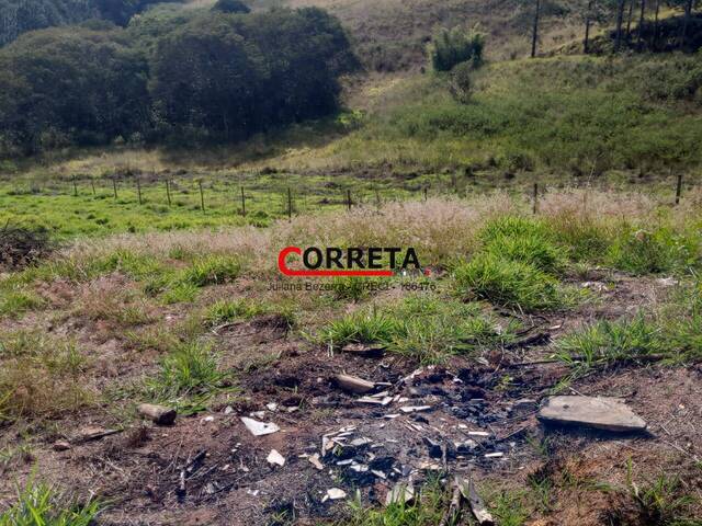 #736 - Terreno para Venda em Ibiúna - SP - 3