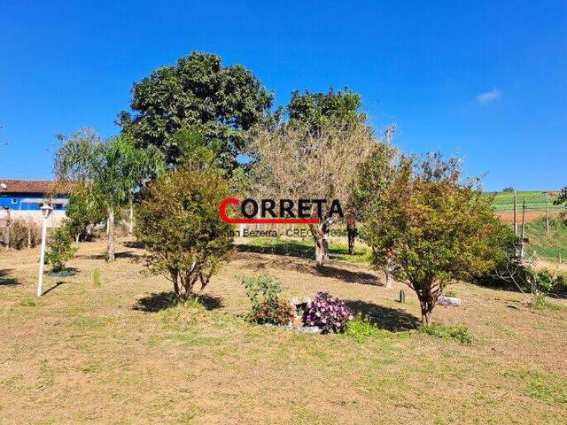 Chácara para Venda em Ibiúna - 2