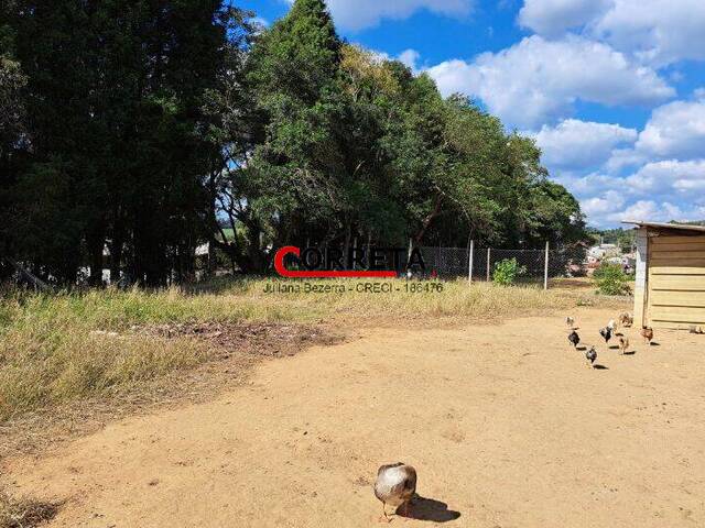 Chácara para Venda em Ibiúna - 5