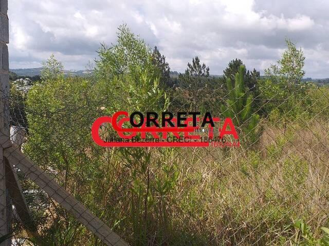 #772 - Área para Venda em Ibiúna - SP - 2