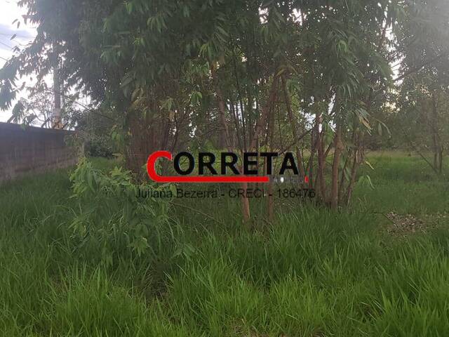 #776 - Área para Venda em Ibiúna - SP - 1