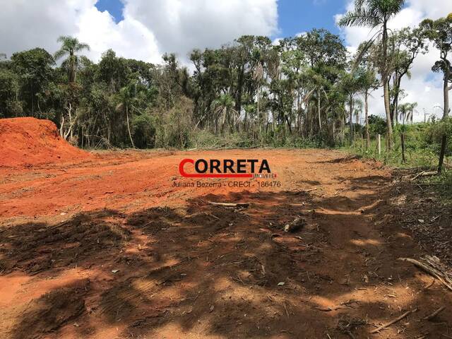 #777 - Área para Venda em Ibiúna - SP - 3