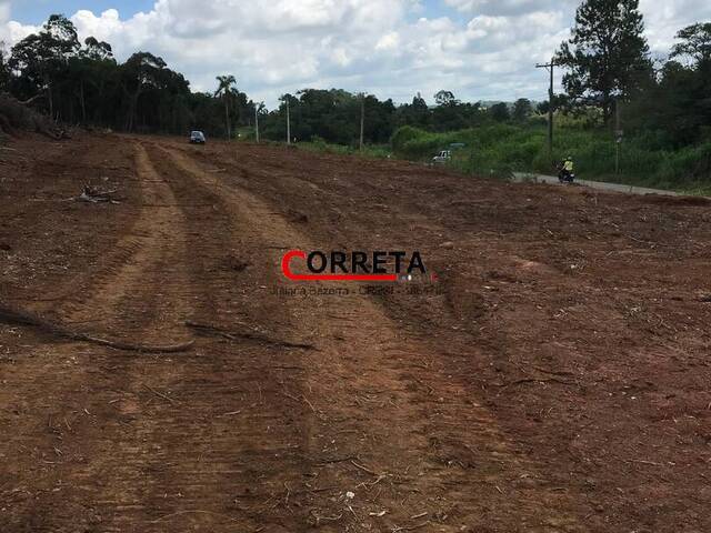 Área para Venda em Ibiúna - 5