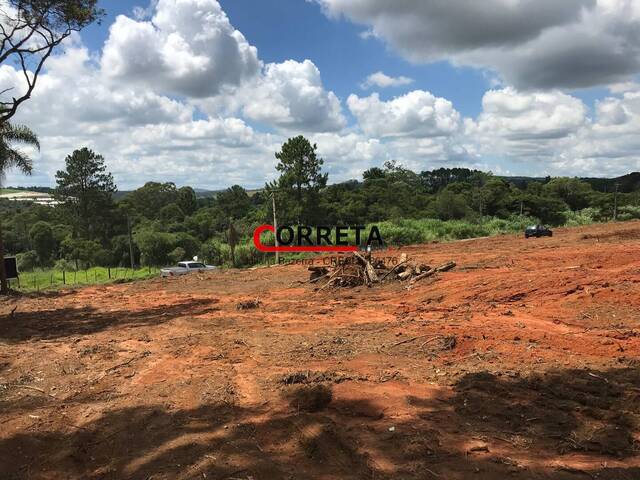 #777 - Área para Venda em Ibiúna - SP - 1