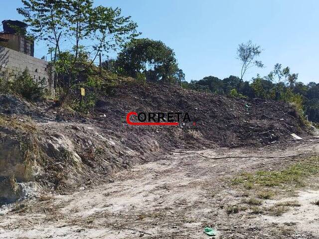 #786 - Área para Venda em São Roque - SP - 1