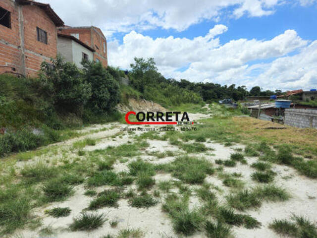 #787 - Área para Venda em São Roque - SP - 3