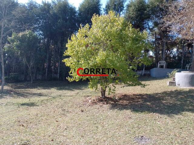 Casa para Venda em Ibiúna - 5