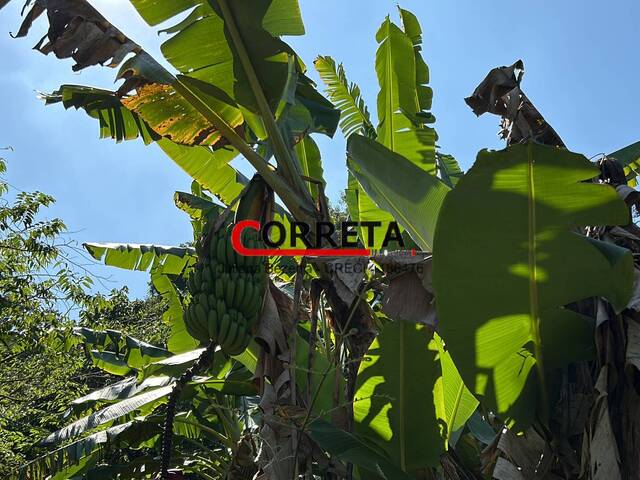 Casa para Venda em Ibiúna - 3