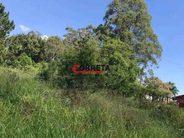 Área para Venda em Ibiúna - 4